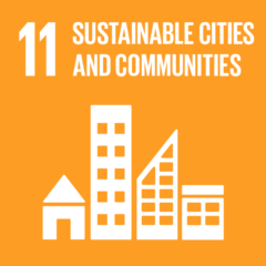 Sdg11