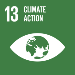 Sdg13