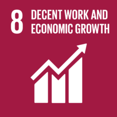 Sdg8